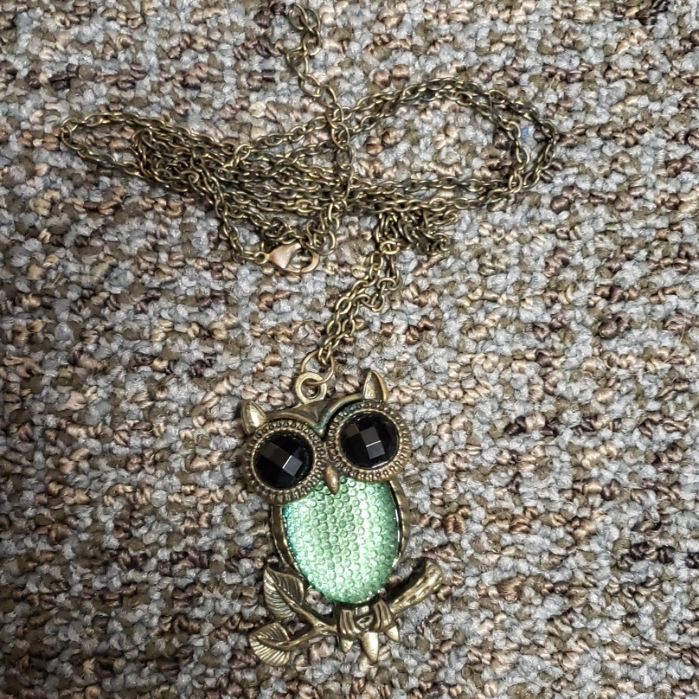 Bronze Owl Necklace with 12" Chain and Jewel